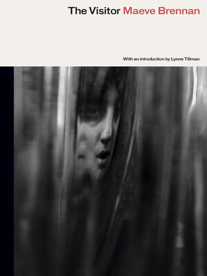cover image of The Visitor